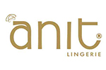 آنیت/anit